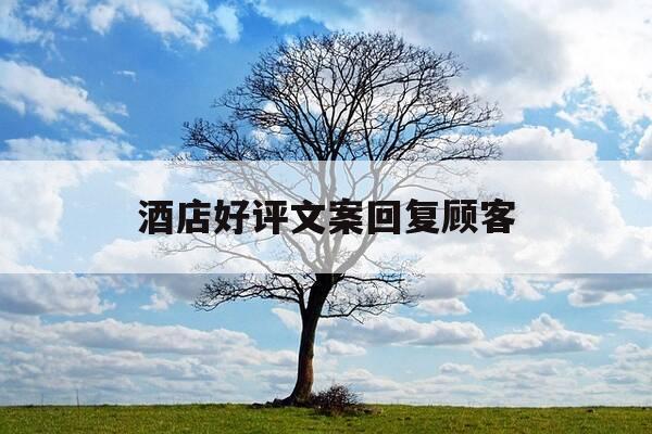 酒店好评文案回复顾客-酒店好评优美回复-第1张图片-优惠活动网 酒店好评文案回复顾客-酒店好评优美回复-第1张图片-优惠活动网