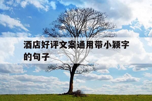 酒店好评文案通用带小颖字的句子-酒店点评好评大全100字-第1张图片-优惠活动网