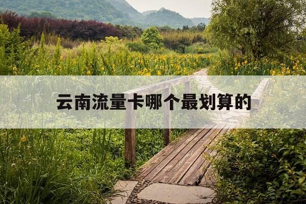 云南流量卡哪个最划算的-云南流量卡哪个最划算的好用-第1张图片-优惠活动网 云南流量卡哪个最划算的-云南流量卡哪个最划算的好用-第1张图片-优惠活动网