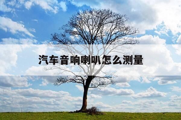 汽车音响喇叭怎么测量-汽车音响喇叭怎么测量的-第1张图片-优惠活动网 汽车音响喇叭怎么测量-汽车音响喇叭怎么测量的-第1张图片-优惠活动网