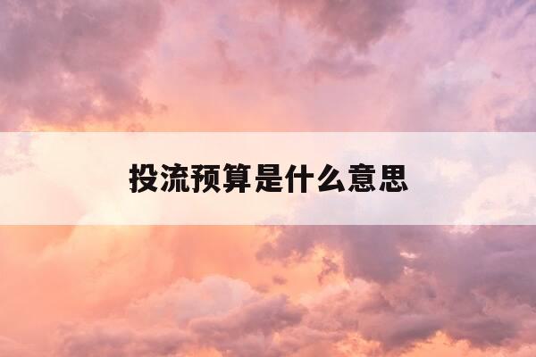 投流预算是什么意思-投流方案-第1张图片-优惠活动网