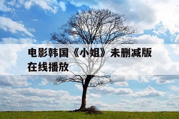 电影韩国《小姐》未删减版在线播放-电影韩国小姐未删减版在线播放视频-第1张图片-优惠活动网