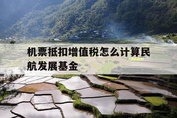 机票抵扣增值税怎么计算民航发展基金-机票抵扣增值税税率-第1张图片-优惠活动网