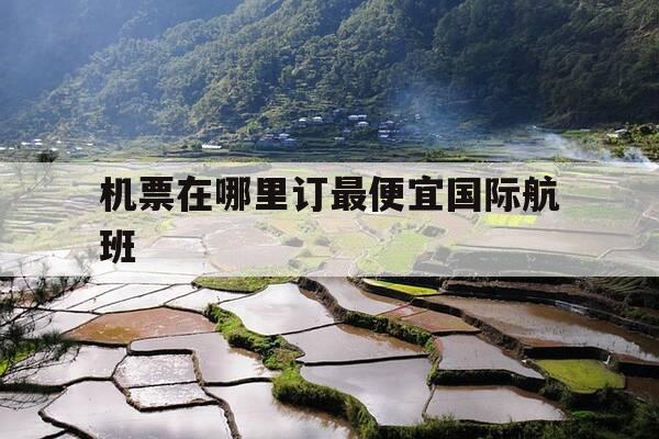 机票在哪里订最便宜国际航班-国际机票哪里买-第1张图片-优惠活动网 机票在哪里订最便宜国际航班-国际机票哪里买-第1张图片-优惠活动网