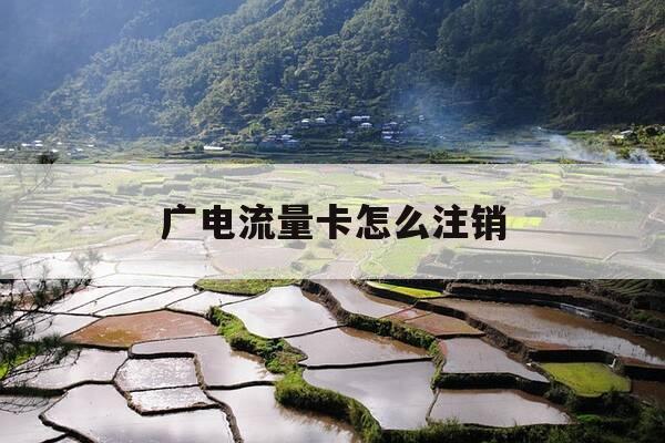 广电流量卡怎么注销-广电流量卡全国无限流量19元-第1张图片-优惠活动网 广电流量卡怎么注销-广电流量卡全国无限流量19元-第1张图片-优惠活动网