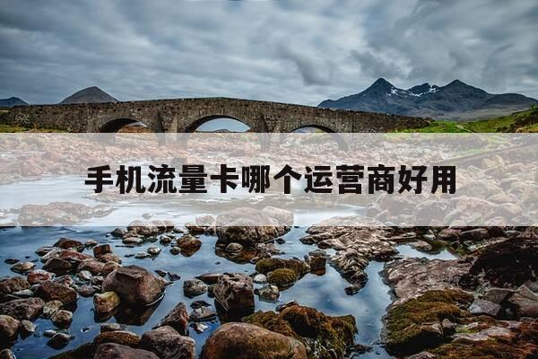 手机流量卡哪个运营商好用-流量卡哪个运营商网速快-第1张图片-优惠活动网