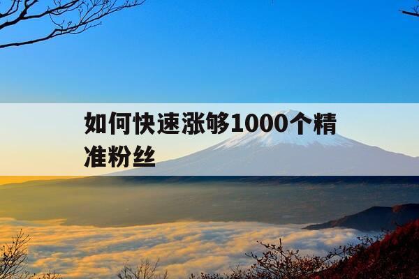 如何快速涨够1000个精准粉丝-上热门文案6000亿流量-第1张图片-优惠活动网 如何快速涨够1000个精准粉丝-上热门文案6000亿流量-第1张图片-优惠活动网