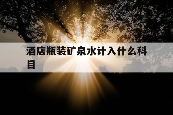 酒店瓶装矿泉水计入什么科目-酒店的瓶装水收费吗-第1张图片-优惠活动网