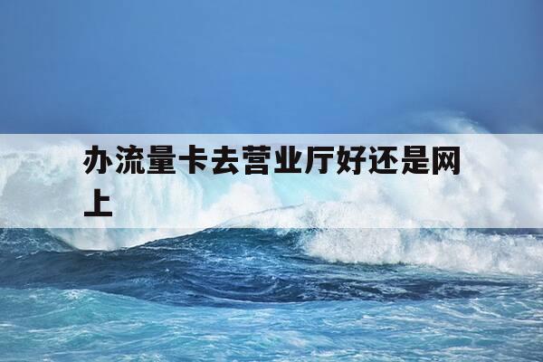 办流量卡去营业厅好还是网上-永久19元无限流量卡-第1张图片-优惠活动网 办流量卡去营业厅好还是网上-永久19元无限流量卡-第1张图片-优惠活动网