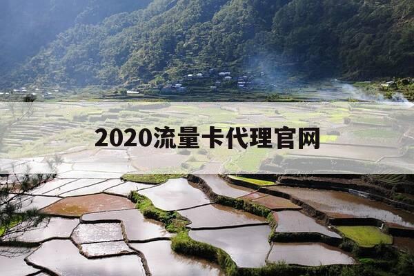 2020流量卡代理官网-流量卡 代理-第1张图片-优惠活动网