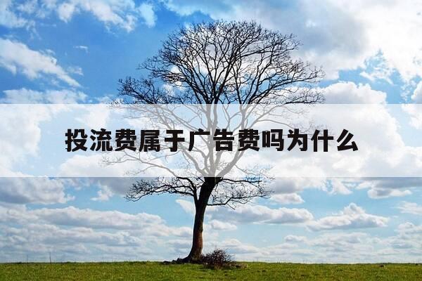 投流费属于广告费吗为什么-投流的全称-第1张图片-优惠活动网 投流费属于广告费吗为什么-投流的全称-第1张图片-优惠活动网