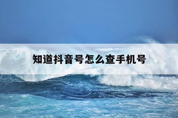 知道抖音号怎么查手机号-换手机号了以前的抖音号怎么找回-第1张图片-优惠活动网 知道抖音号怎么查手机号-换手机号了以前的抖音号怎么找回-第1张图片-优惠活动网