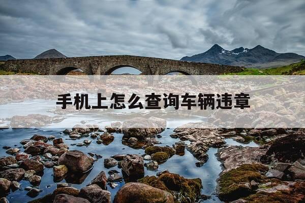手机上怎么查询车辆违章-怎么在手机上查询车辆违章记录-第1张图片-优惠活动网