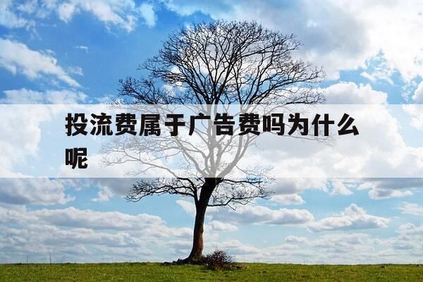 投流费属于广告费吗为什么呢-投流费属于广告费吗为什么呢不能报销-第1张图片-优惠活动网