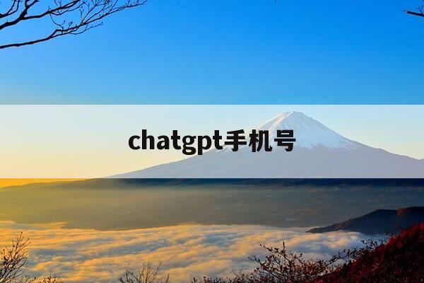 chatgpt手机号-手机号差车牌号-第1张图片-优惠活动网
