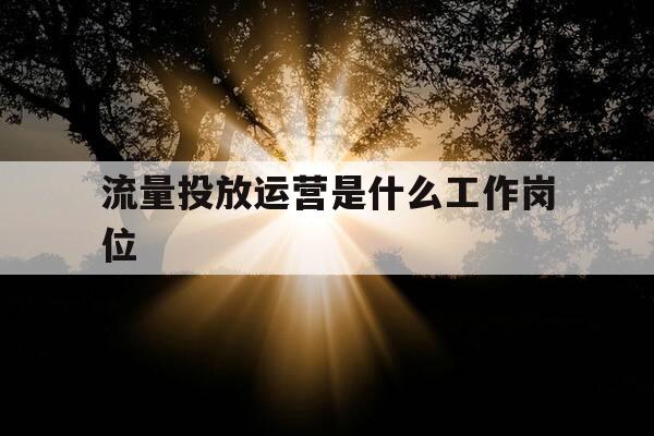 流量投放运营是什么工作岗位-流量投放能力介绍-第1张图片-优惠活动网 流量投放运营是什么工作岗位-流量投放能力介绍-第1张图片-优惠活动网