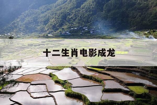 十二生肖电影成龙-十二生肖电影成龙跳火山-第1张图片-优惠活动网 十二生肖电影成龙-十二生肖电影成龙跳火山-第1张图片-优惠活动网