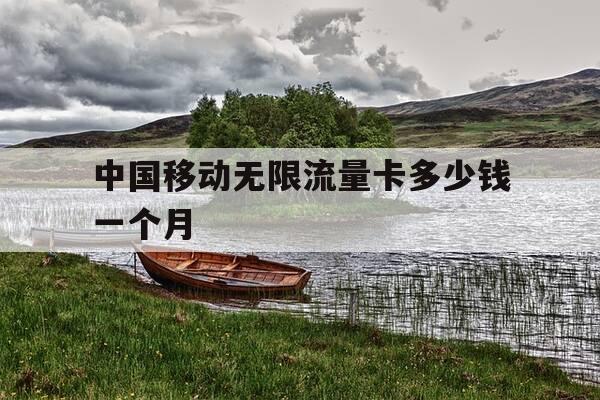 中国移动无限流量卡多少钱一个月-移动无限流量卡最低多少钱-第1张图片-优惠活动网