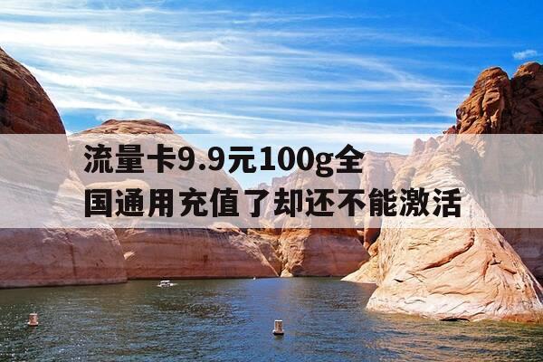 流量卡9.9元100g全国通用充值了却还不能激活-买了一张流量卡充值了用不了-第1张图片-优惠活动网
