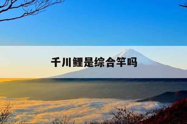 千川鲤是综合竿吗-千川鲤四代竿怎么样-第1张图片-优惠活动网