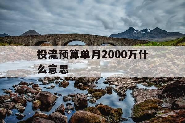 投流预算单月2000万什么意思-抖音投流预算-第1张图片-优惠活动网