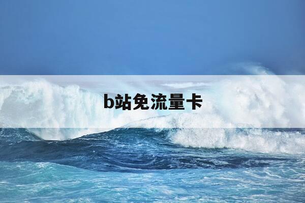 b站免流量卡-b站免流量卡多少钱-第1张图片-优惠活动网 b站免流量卡-b站免流量卡多少钱-第1张图片-优惠活动网