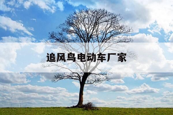 追风鸟电动车厂家-追风鸟电动车百度百科-第1张图片-优惠活动网 追风鸟电动车厂家-追风鸟电动车百度百科-第1张图片-优惠活动网