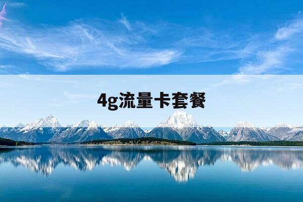 4g流量卡套餐-4g流量套餐是什么意思-第1张图片-优惠活动网