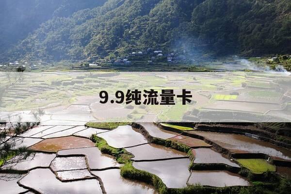 9.9纯流量卡-全国通用纯流量卡99元包100g不限速-第1张图片-优惠活动网 9.9纯流量卡-全国通用纯流量卡99元包100g不限速-第1张图片-优惠活动网