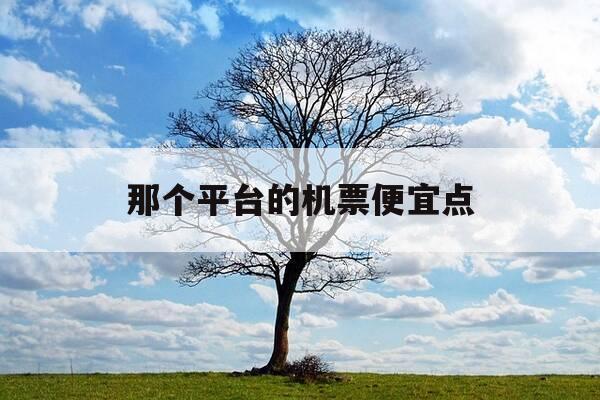 那个平台的机票便宜点-哪个平台买机票更便宜-第1张图片-优惠活动网 那个平台的机票便宜点-哪个平台买机票更便宜-第1张图片-优惠活动网