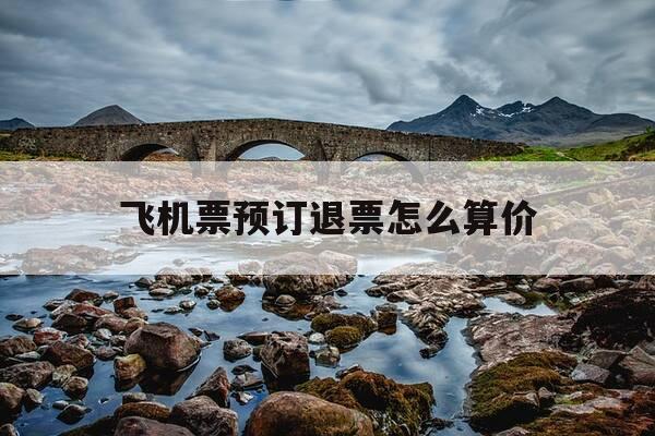 飞机票预订退票怎么算价-机票预订退票怎么处理-第1张图片-优惠活动网