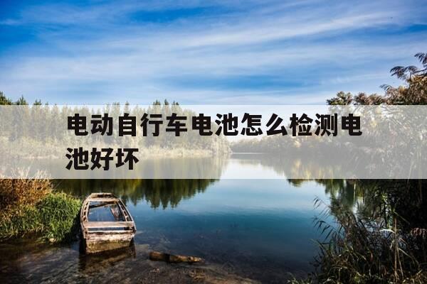 电动自行车电池怎么检测电池好坏-如何检测电动自行车电池该更换-第1张图片-优惠活动网