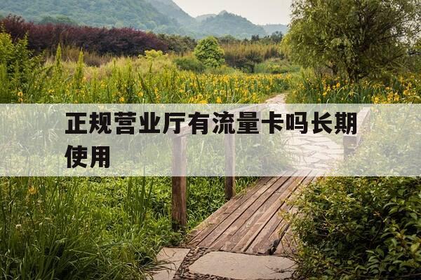 正规营业厅有流量卡吗长期使用-营业厅有流量卡吗?-第1张图片-优惠活动网