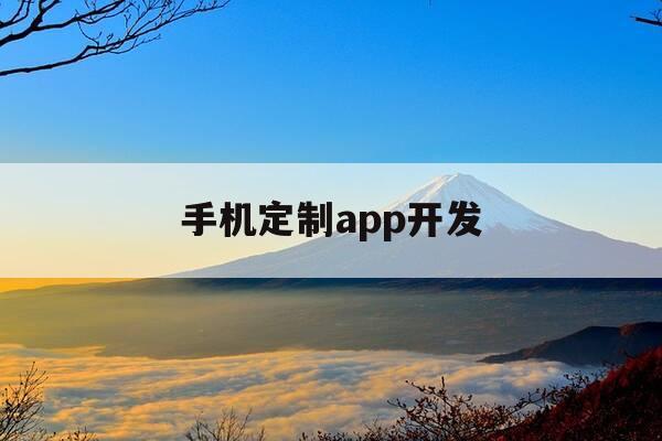 手机定制app开发-定制设计开发app-第1张图片-优惠活动网