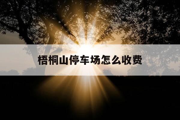 梧桐山停车场怎么收费-梧桐山停车场收费标准-第1张图片-优惠活动网