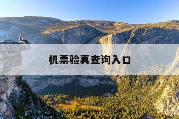 机票验真查询入口-信天游机票验真单打印-第1张图片-优惠活动网