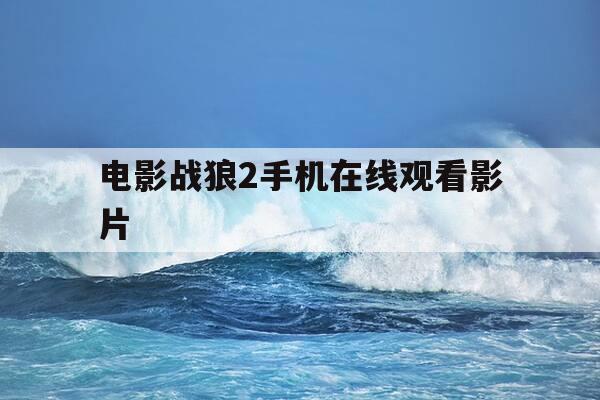 电影战狼2手机在线观看影片-电影战狼2完整版免费观看影片-第1张图片-优惠活动网
