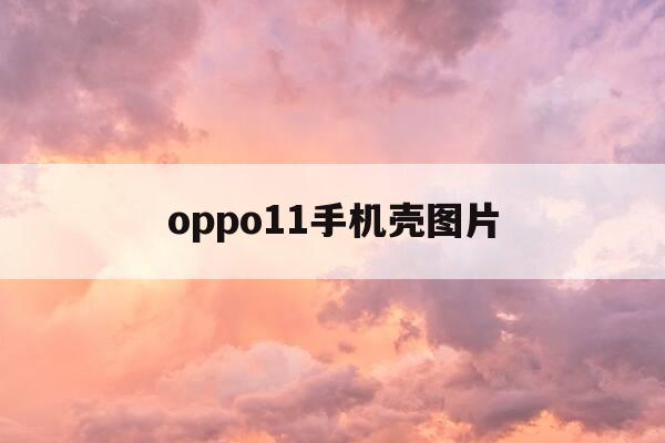 oppo11手机壳图片-oppor11手机壳 潮款-第1张图片-优惠活动网