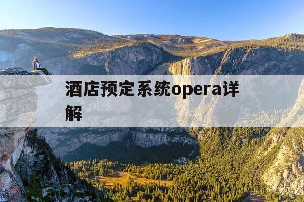 酒店预定系统opera详解-酒店预定系统业务流程-第1张图片-优惠活动网