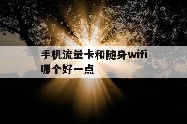 手机流量卡和随身wifi哪个好一点-随身wifi和流量卡的区别-第1张图片-优惠活动网