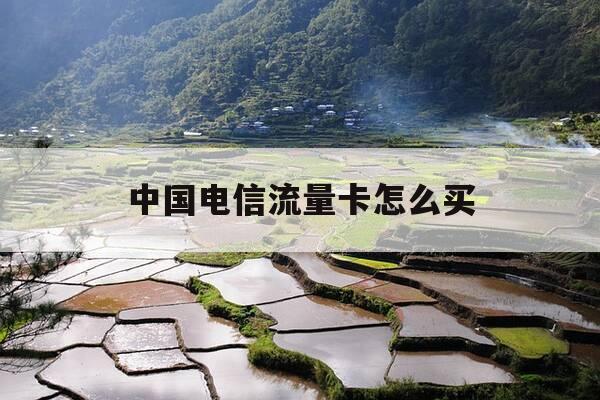 中国电信流量卡怎么买-如何购买电信流量卡-第1张图片-优惠活动网