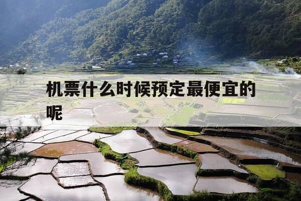 机票什么时候预定最便宜的呢-机票什么时候预定最便宜的呢多少钱-第1张图片-优惠活动网