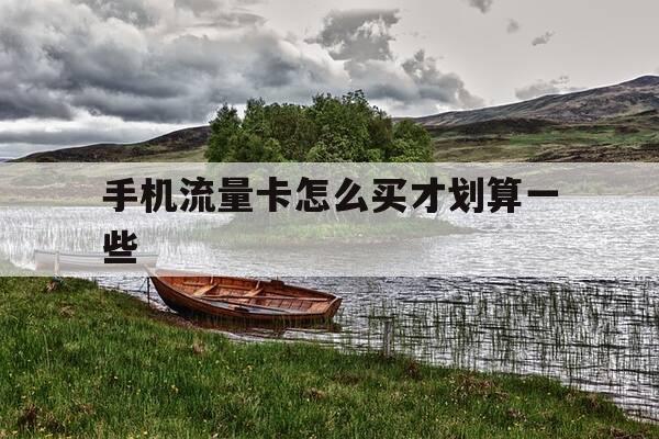 手机流量卡怎么买才划算一些-如何买流量卡哪种最划算-第1张图片-优惠活动网