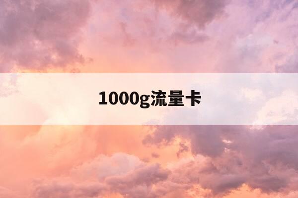 1000g流量卡-1000G流量卡-第1张图片-优惠活动网