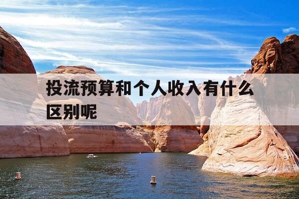 投流预算和个人收入有什么区别呢-投流占比-第1张图片-优惠活动网