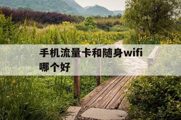 手机流量卡和随身wifi哪个好-手机流量卡和随身wifi哪个好用-第1张图片-优惠活动网