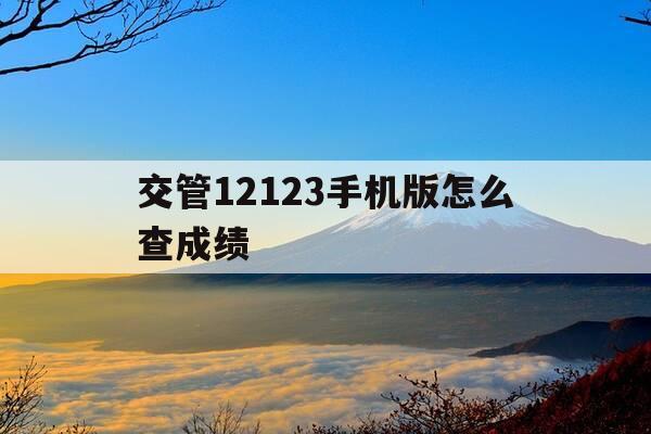 交管12123手机版怎么查成绩-交管12123成绩在手机查询-第1张图片-优惠活动网