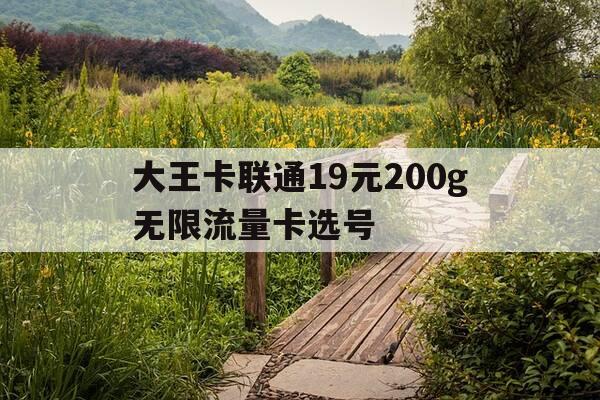 大王卡联通19元200g无限流量卡选号-请问联通大王卡19元套餐好用不-第1张图片-优惠活动网 大王卡联通19元200g无限流量卡选号-请问联通大王卡19元套餐好用不-第1张图片-优惠活动网