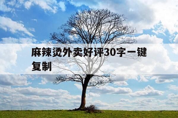 麻辣烫外卖好评30字一键复制-麻辣烫好评30字通用-第1张图片-优惠活动网 麻辣烫外卖好评30字一键复制-麻辣烫好评30字通用-第1张图片-优惠活动网