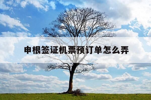 申根签证机票预订单怎么弄-申根签证机票预订单怎么弄出来-第1张图片-优惠活动网